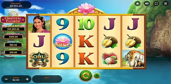 oriental flower slot review image