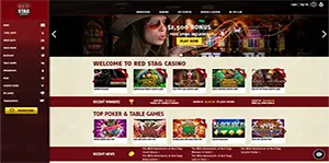 wgs slots software review image 2