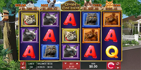 crazy cat lady slot review image